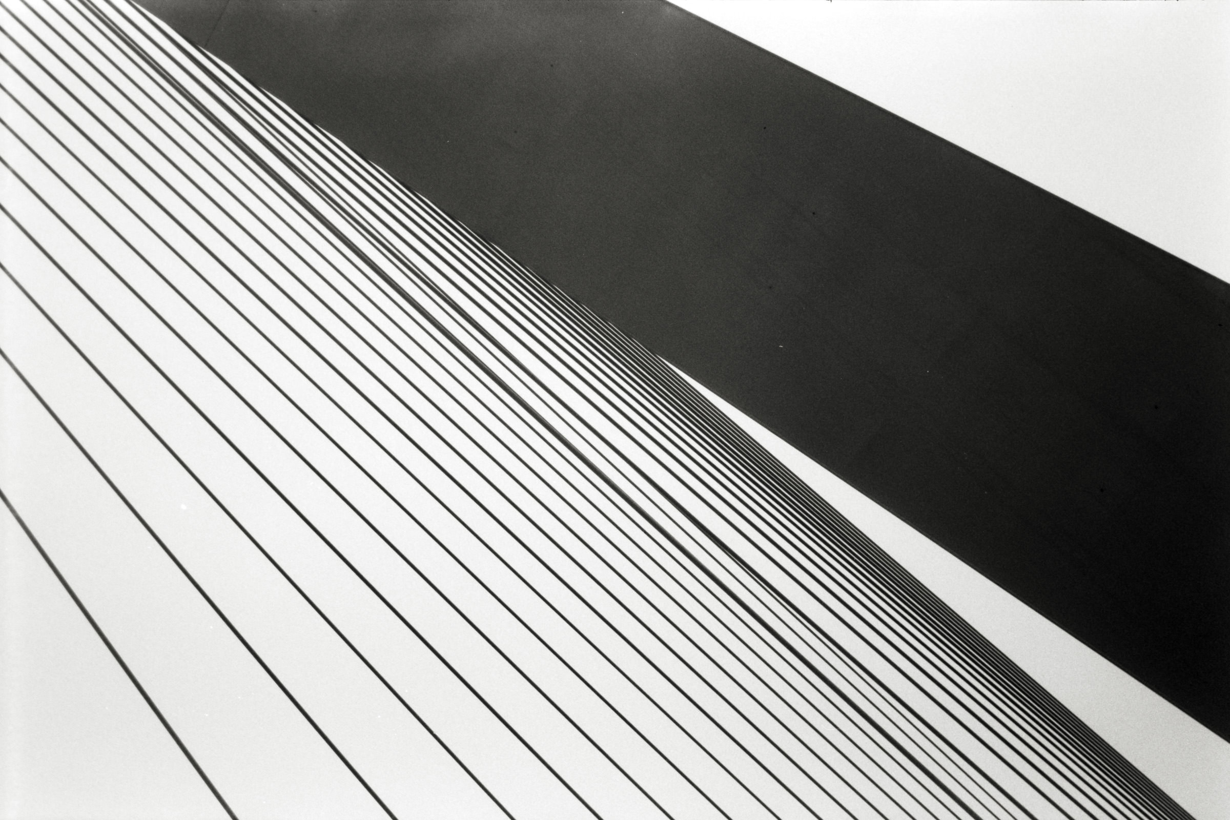 AHP F1998 05 001 sc240818 img25 NLP